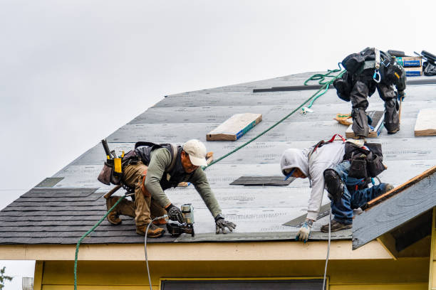 Professional Roof Installation technician working in Hall, NY